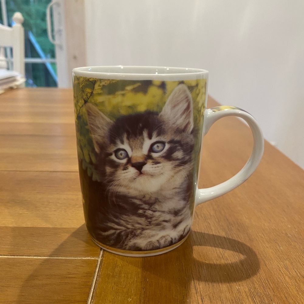 Mulberry Home Collection Cat Mug